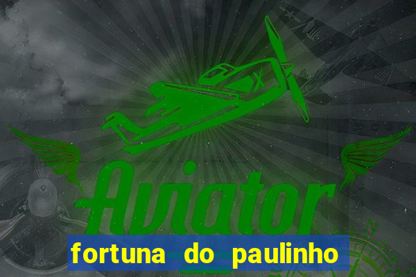 fortuna do paulinho do roupa nova